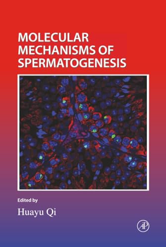 Molecular mechanisms of spermatogenesis