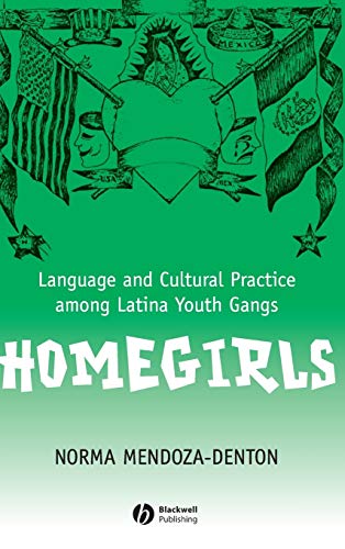 Homegirls<br>language and cultural practice among Latina yout...
