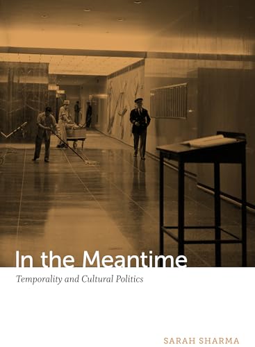 In the meantime<br>temporality and cultural politics