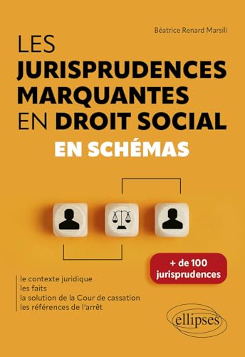 Les jurisprudences marquantes en droit social<br>en schémas