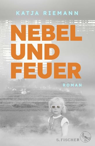 Nebel und Feuer<br>Roman