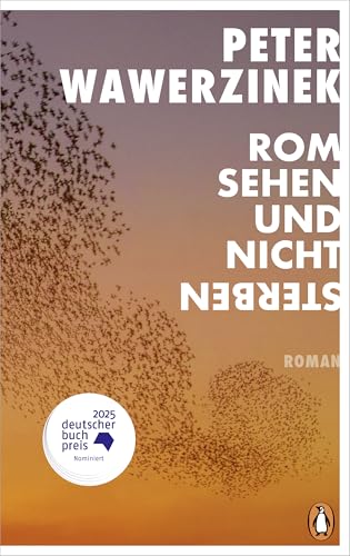 Rom sehen und nicht sterben<br>Roman