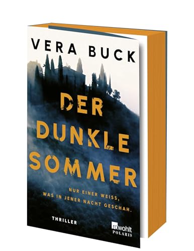 Der dunkle Sommer<br>nur einer weiss, was in jener Nacht gesc...