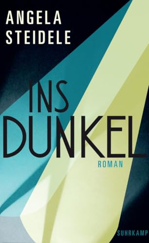 Ins Dunkel<br>Roman