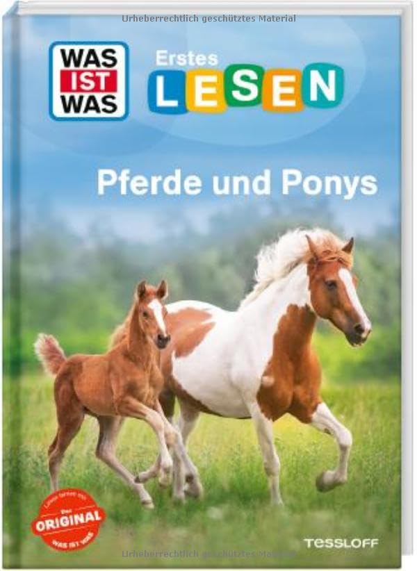 Pferde und Ponys