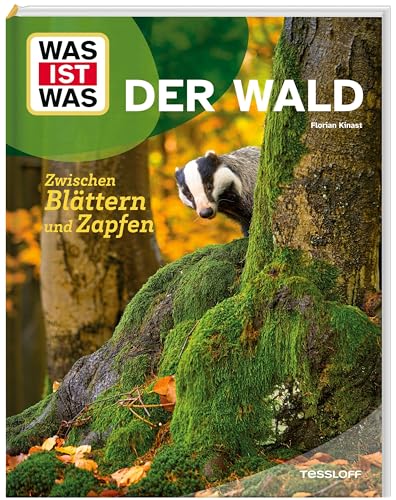 Der Wald<br>zwischen Blättern und Zapfen