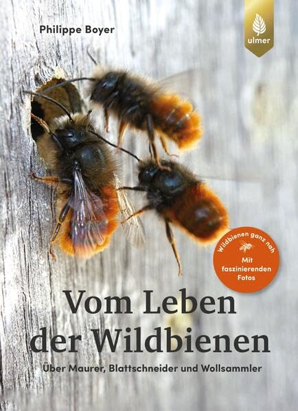 Vom Leben der Wildbienen<br>über Maurer, Blattschneider und W...