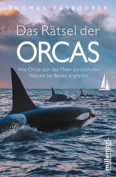 Das Rätsel der Orcas : wie Orcas sich das Meer zurückholen...