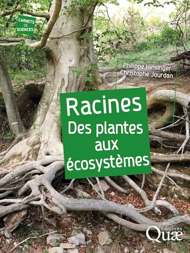 Racines : des plantes aux écosystèmes