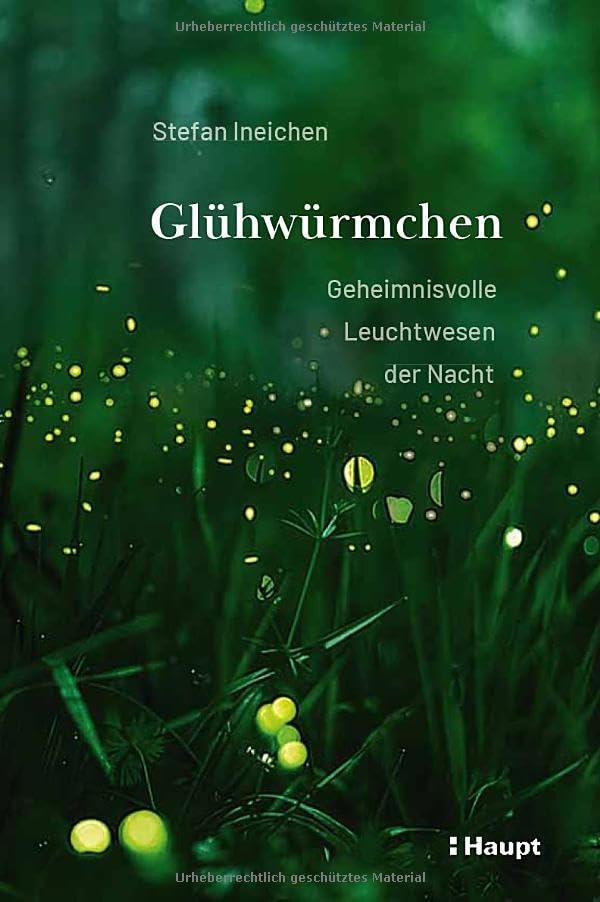 Glühwürmchen : geheimnisvolle Leuchtwesen der Nacht
