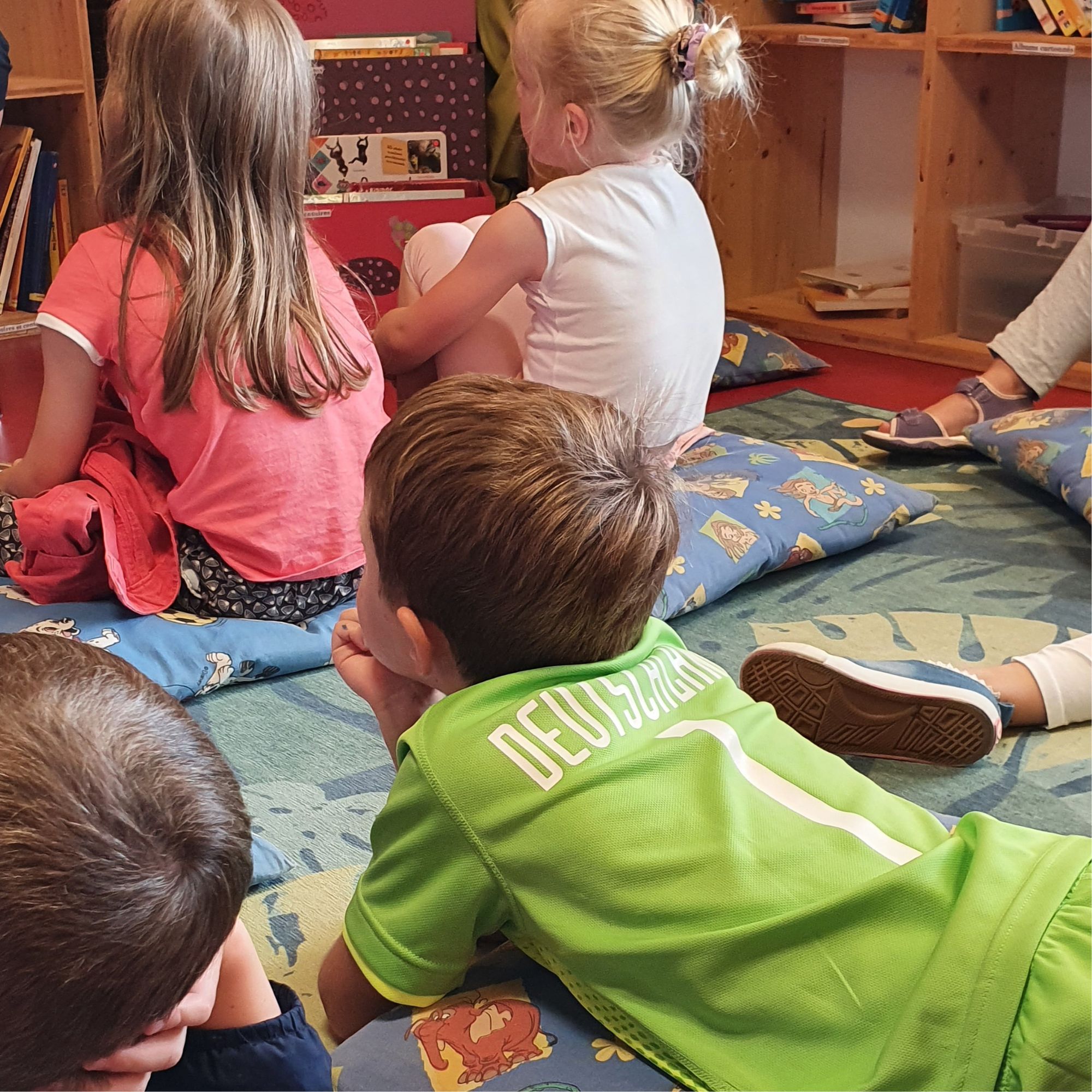 Bibliothèque communale Terre Lune