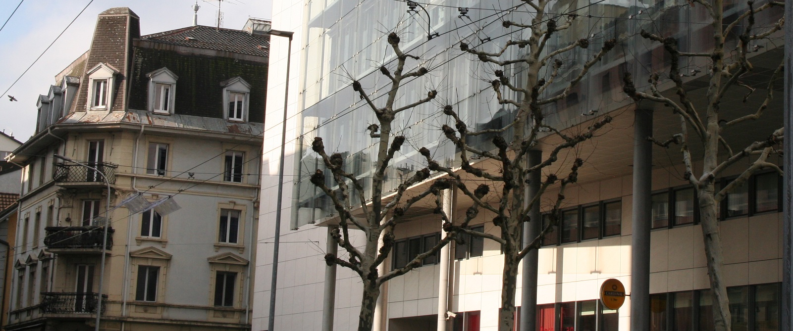 Library of the Interdisciplinary institute for ethics and human rights