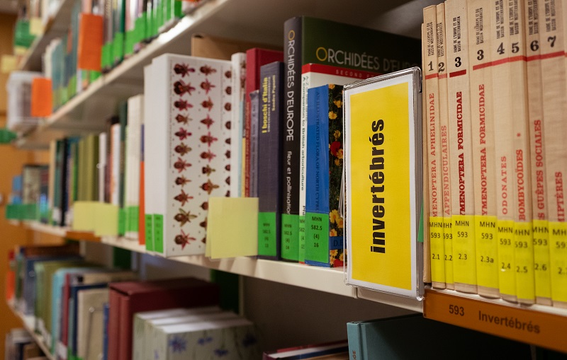 Bibliothèque du Musée d’histoire naturelle de Fribourg [MHNF]