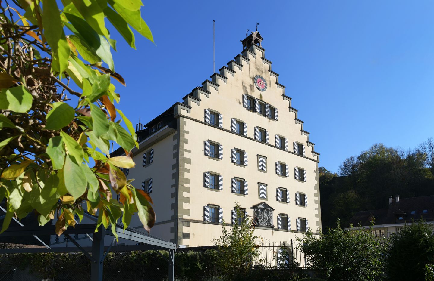 Bibliothèque du Service archéologique
de l'Etat de Fribourg [SAEF]