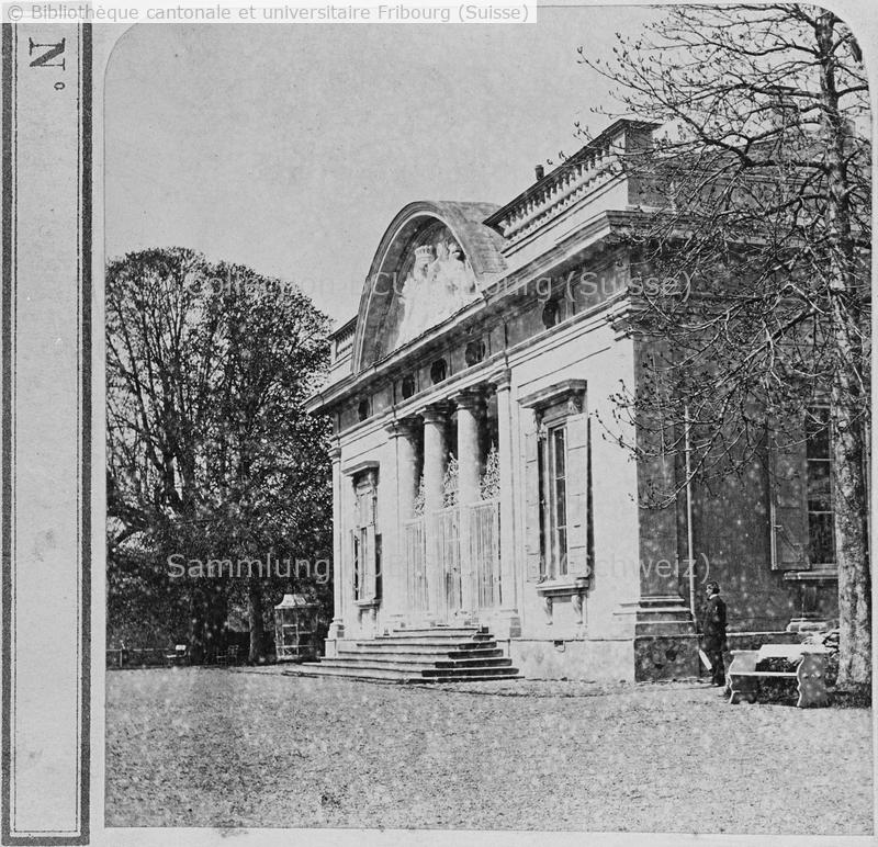 <strong>Reproduction d'une partie de stéréoscopie </strong>